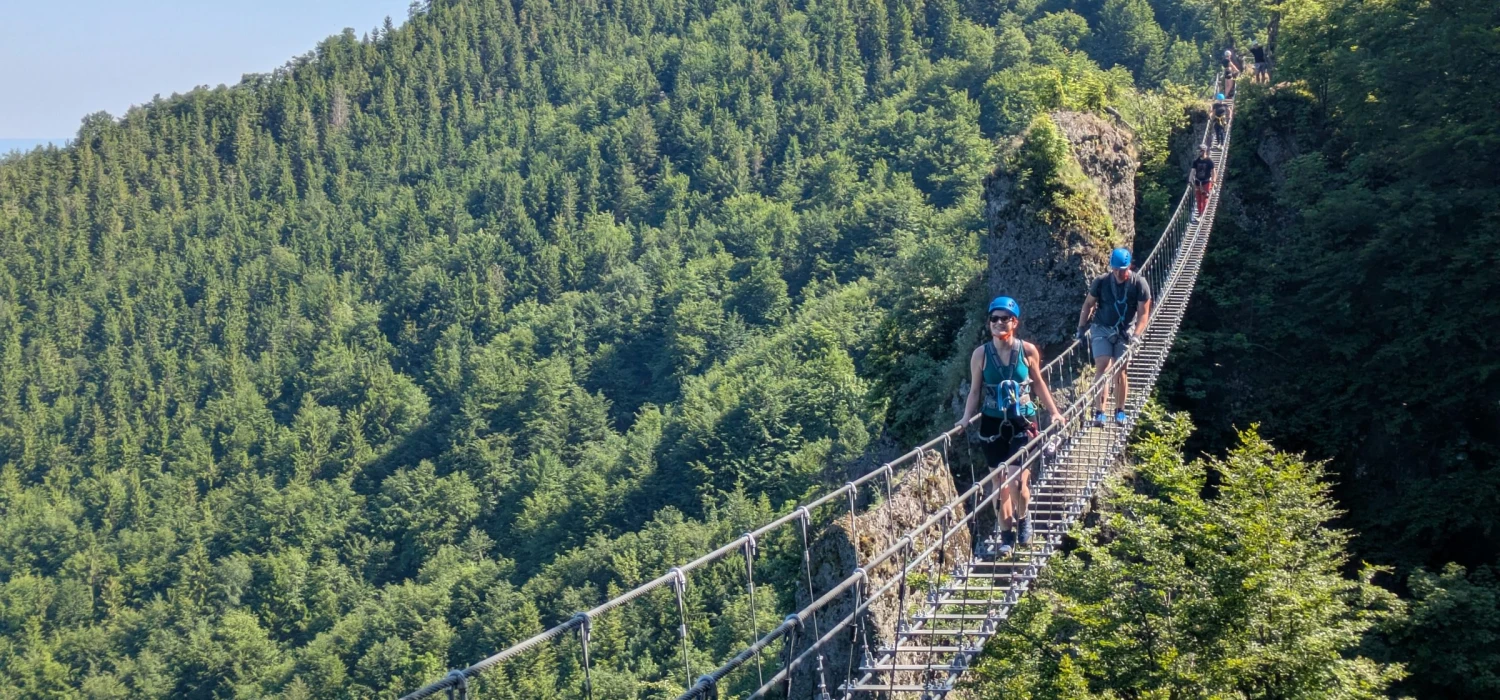 Účastníci na visutom moste nad zalesnenou dolinou